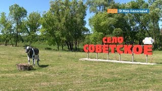 Чем гордятся жители села Советского