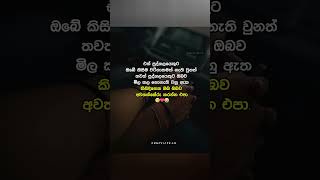 sinhala wadan| wadan | adara wadan |  #wadan #sinhalawadan #adarawadan #sinhalaadarawadan #crazylife