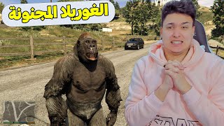 الغوريلا المجنونة فى جاتا 5 😱 اصعب باركرو هتشوفة | GTA V