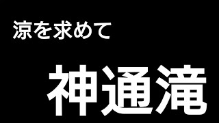 【徳島 神通滝】大寒波で氷瀑となる【名西郡 神山町】