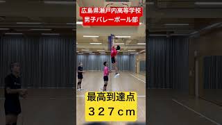 最高到達点３２７ｃｍ　#shorts #瀬戸内高校男子バレーボール部 #春高予選 #春高バレー #最高到達点