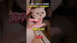 主人晚上上厕所不小心踩到猫，猫咪伤心的落泪：你就是故意的~#pets #猫咪 #宠物