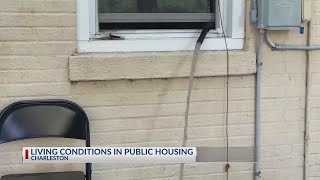 Tenants of Public Housing in Charleston detail unsafe living environments