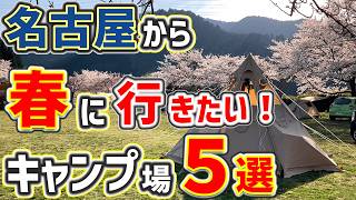 【キャンプ場紹介】名古屋から春に行きたいキャンプ場５選「お花見・桜キャンプ」2025年版