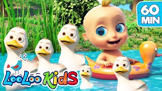 Five Little Ducks | LooLoo Kids Nursery Rhymes and Children's Songs