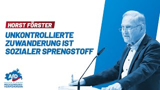 Horst Förster: Unkontrollierte Zuwanderung ist sozialer Sprengstoff