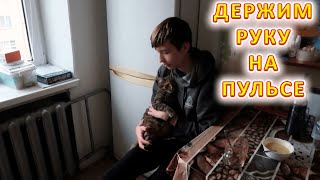 VLOG Снова массовий ракетный обстрел