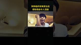 狗狗临终前离家出走，得知缘由令人泪崩