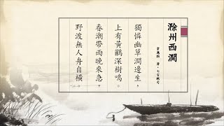 唐詩三百首 韋應物 滁州西澗賞析 - 詩中有畫[七言絕句]