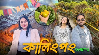 পাহাড়ি চিকেন এর ঝোল 🔥|  সিটং এর বিখ্যাত কমলালেবু গাছ থেকে লেবু পেরে খেলাম ❤️🏔️| দার্জিলিং