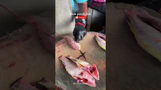 Pink perch fish (madmal) kudla fish #fishcutting #fishing #subscribe #shorts #youtubeshorts #viral