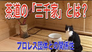 「三千家」と「昭和のプロレス団体」の関係性は酷似していた！「三千家」について詳しく説明します   第四席目  【茶道】【裏千家】【茶道初心者】【地域猫活動】