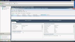 V2V_5.0_Linux.avi