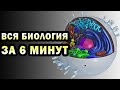 Изучить биологию за 360 секунд