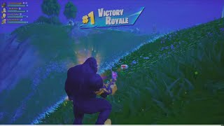 FORTNITE *NEW* KONG Gameplay VICTORY ROYALE Chapter 6