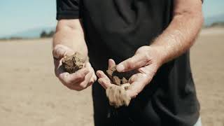 Skagit Soils: The Best of the Best Are Farming Here