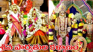 శివపార్వతుల కళ్యాణం చూసి తరిచండి |Shiva Parvathula Kalyanam 2021| శ్రీ రామశర్మ గురూజీ | Anugraham Tv