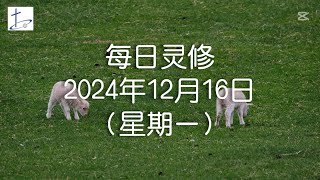 每日灵修2024年12月16日（星期一）路加福音2章10至12节  (English translation in description box)