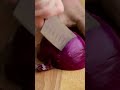 easy 2 step onion dicing tutorial shorts