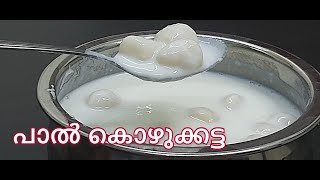 paal kozhukkatta/  നാവിൽ രുചിയൂറും പാൽ കൊഴുക്കട്ട #paalpidi #Pidi