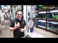 genepoolaquarium live tape 17 ตลาดปลาธนบุรี สนามหลวง 2