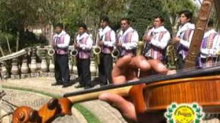 orquesta deliciosos del peru