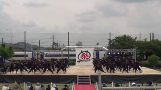 2016 6 4 犬山踊芸祭 メイン会場 福井大学よっしゃこい 1日目