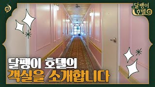 [#달팽이호텔] 이경규의 손을 거친, 달팽이 호텔의 아기자기한 객실을 소개합니다💚 | EP1-10