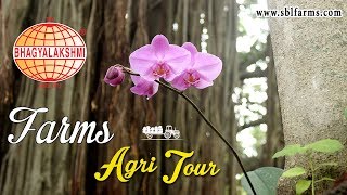 Agri Tour Sri Bhagyalakshmi farms | SBL Farm Agri tour |Big Banyan Tree, Dodda Alada Mara Bangalore