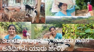 Sunday vlog ರಜಾ ದಿನಗಳಲ್ಲಿ ಬೆಳಗಿನ ಕೆಲಸಗಳು ಹಾಗೇ ಹೊಸ ಅತಿಥಿಗಳು ಬಂದಿದ್ದಾರೆ ನೋಡಿ