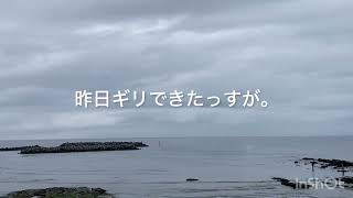 すごく平らですよね〜平砂浦波情報