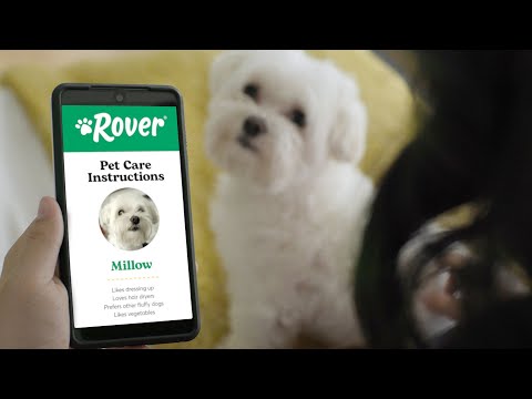 Rover Presents: Instructions for Care of Real Pet Parents (:30)