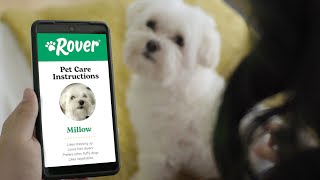 Rover Presents: Real Pet Parent Care Instructions (:30)