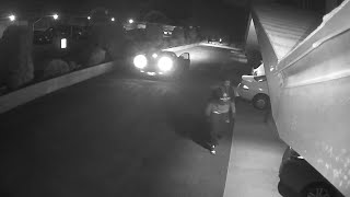 HAVE YOU SEEN HIM? Police search for theft suspect