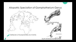 The Sepciation and Evolutionary History of Elephants (Proboscideans)