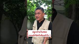 ปลูกบ้านในซอยถนนยังไม่เข้าต้องทำไง ? | คุยกับลุงช่าง