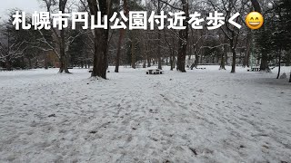 冬の札幌円山公園付近を散策#札幌 #散歩