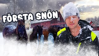 HÄSTARNA ÄR INSNÖADE!? 🐴