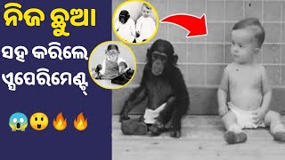 ନିଜ ଛୁଆ ସହ କଲେ Experiment || Odia Facts || Facts in Odia || #odiashorts #odiafacts #odia