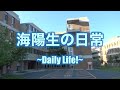 海陽生の日常　ダイジェスト版