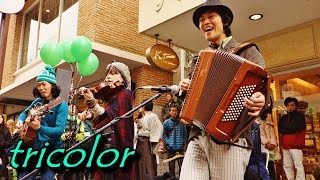 tricolor (St.Patrick's Day Parade Motomachi, Yokohama 2016 )