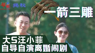 【揭秘】大S汪小菲自导自演离婚闹剧，一箭三雕⚔层层揭开离婚闹剧真相