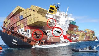 देखिये कैसे ये बड़े जहाज पानी में डूब जाते है | Why Big Cargo ships sink in ocean?