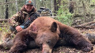 Hunting GIANT Bears in Canada!! {Catch Clean Cook}