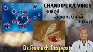 ચાંદીપુરા વાયરસ/સેન્ડફલાય/MyDoctorMyFriend/ડૉ.રમેશ પ્રજાપતિ#ChandipuraVirus#Sandfly#serious disease