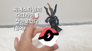 씨에스타님의 다크라이를 잡아보았다!