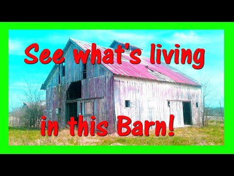 Exploring 120 year old Spooky Barns and House.. Exploring 120 year old Spooky Barns and House..