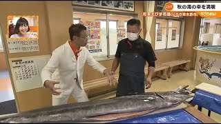 【旬の魚】“秋太郎”いちき串木野市から生中継！（2024年10月4日放送）