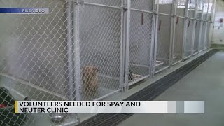 Bernalillo County Animal Care Services seeks volunteers for spay and neuter clinics