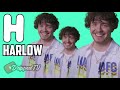 JACK HARLOW FUNNIESTMOST SUS MOMENTS